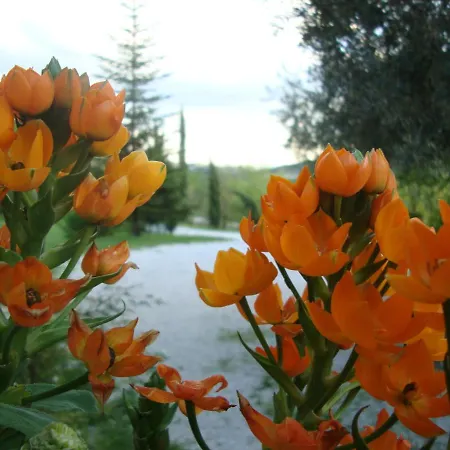 Valdichiascio Bed and breakfast